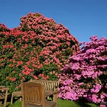 Park Belvedere Hotel 3*