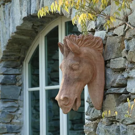 Park Belvedere فندق