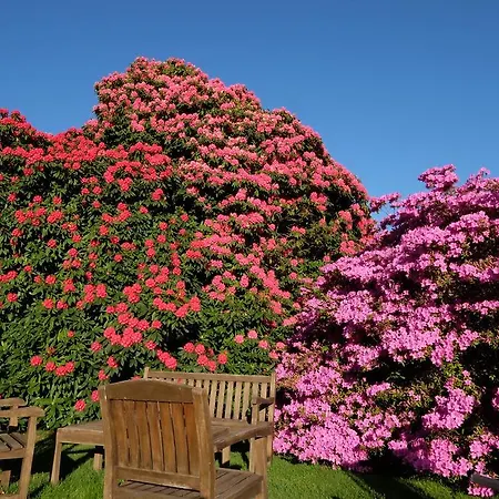 Park Belvedere فندق 3*