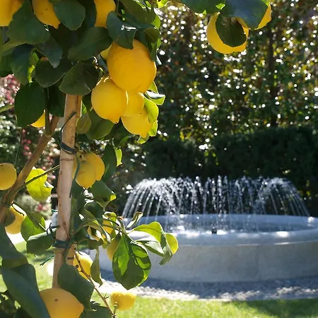 Park Belvedere فندق كانوبيو