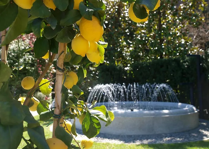 Park Belvedere ホテル カンノビオ